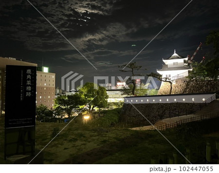 ライトアップされた夜の福山城_広島県福山市 102447055