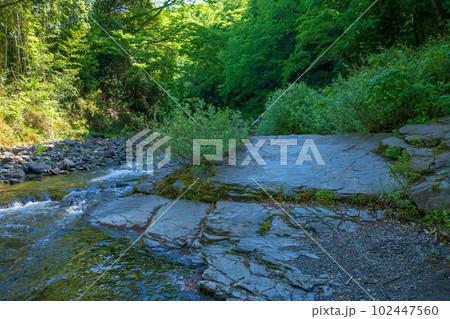 嵐山渓谷 槻川 新緑の風景 武蔵の小京都 嵐山渓谷 槻川 新緑の風景 武蔵の小京都 102447560