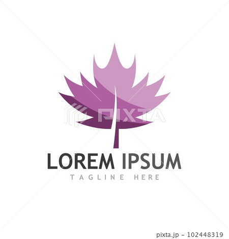 Maple leaf vector illustration 102448319