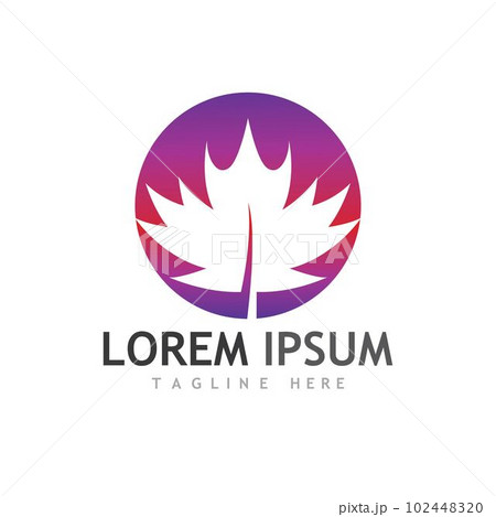 Maple leaf vector illustration 102448320