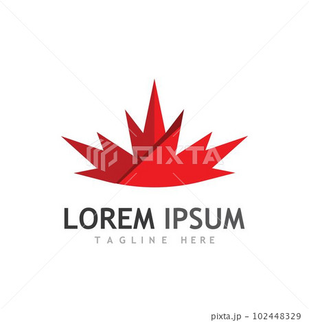 Maple leaf vector illustration 102448329