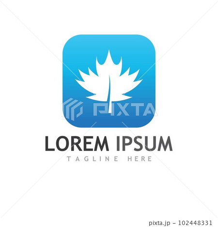 Maple leaf vector illustration 102448331