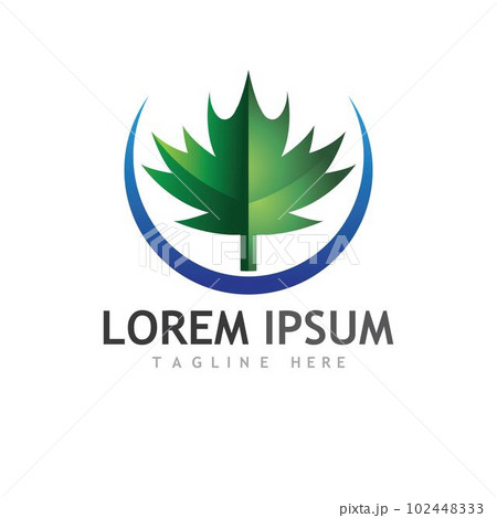 Maple leaf vector illustration 102448333