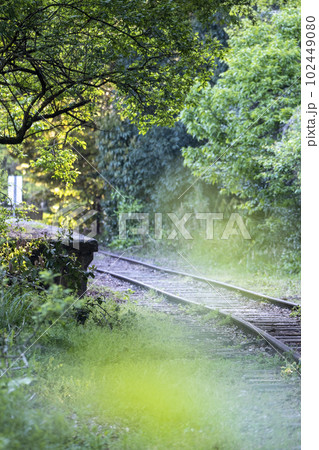 木漏れ日の廃線散歩（旧国鉄倉吉線） 102449080