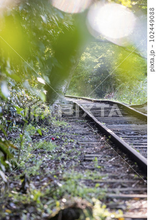 木漏れ日の廃線散歩(旧国鉄倉吉線) 木漏れ日の廃線散歩(旧国鉄倉吉線) 102449088