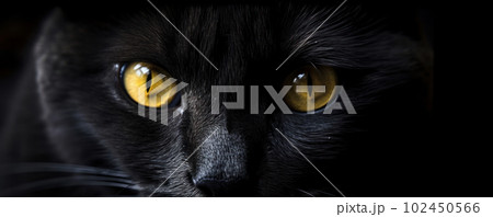 Fierce black cat with piercing yellow eyes staring directly into the camera, creating a sense of intensity and danger. Is AI Generative Fierce black cat with piercing yellow eyes staring directly into the camera, creating a sense of intensity and danger. Is AI Generative 102450566