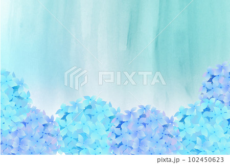 あじさい　梅雨　花　背景	 102450623