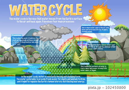 Water Cycle for Science Educationのイラスト素材 [102450800] - PIXTA
