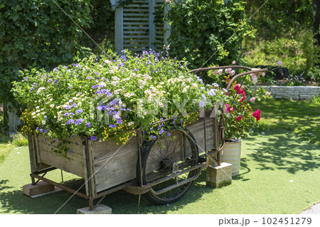 初夏のイングリッシュガーデンの花とリヤカー 初夏のイングリッシュガーデンの花とリヤカー 102451279