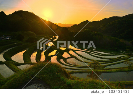 ゴ―ルデンウィーク 棚田の朝(千葉県) ゴ―ルデンウィーク 棚田の朝(千葉県) 102451455