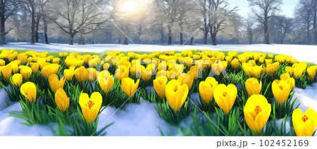 Snowfall flower. Spring wild flower. Beautiful grass of nature. Sketch of snow light flower branch. Flowering plant. Snowy floral art. Vector illustration banner Snowfall flower. Spring wild flower. Beautiful grass of nature. Sketch of snow light flower branch. Flowering plant. Snowy floral art. Vector illustration banner 102452169