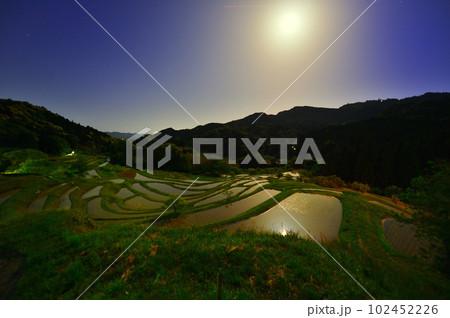 大山千枚田の夜景(千葉) 大山千枚田の夜景(千葉) 102452226