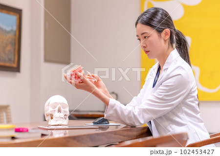 woman doctor dental  medical 102453427