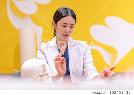 woman doctor dental  medical 102453435