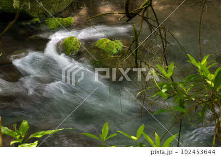 新緑の頃菊池渓谷の美しい風景 102453644