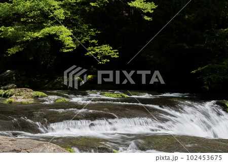 新緑の頃菊池渓谷の美しい風景 102453675