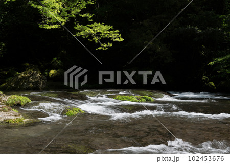 新緑の頃菊池渓谷の美しい風景 新緑の頃菊池渓谷の美しい風景 102453676