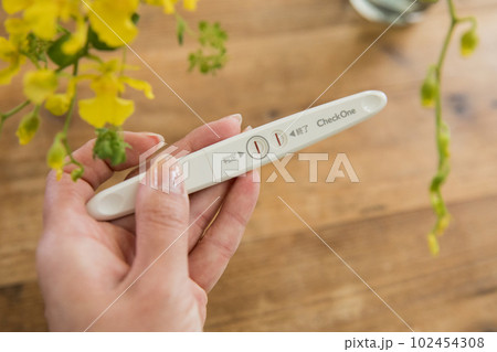 妊娠検査薬 102454308