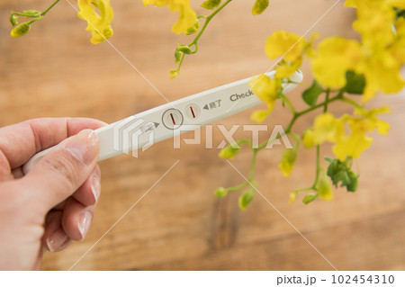妊娠検査薬 102454310