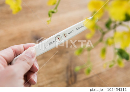妊娠検査薬 102454311