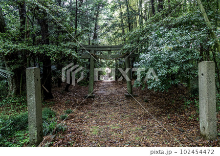 香取神宮の分霊を祀った胎安神社の鳥居 香取神宮の分霊を祀った胎安神社の鳥居 102454472