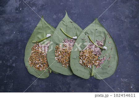 Decoration Green betel Leaf or pan on the concrete floor 102454611