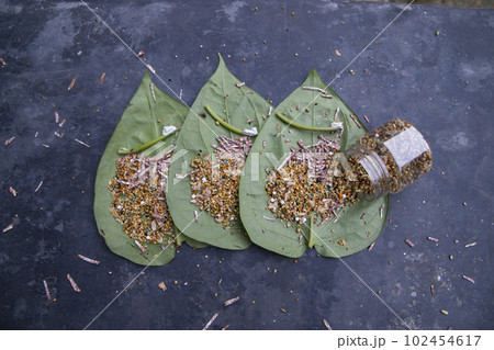 Decoration Green betel Leaf or pan on the concrete floor Decoration Green betel Leaf or pan on the concrete floor 102454617