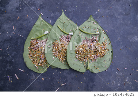 Decoration Green betel Leaf or pan on the concrete floor Decoration Green betel Leaf or pan on the concrete floor 102454625