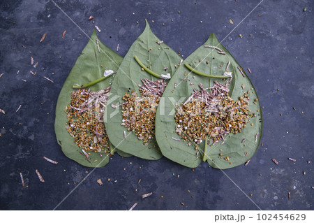 Decoration Green betel Leaf or pan on the concrete floor Decoration Green betel Leaf or pan on the concrete floor 102454629