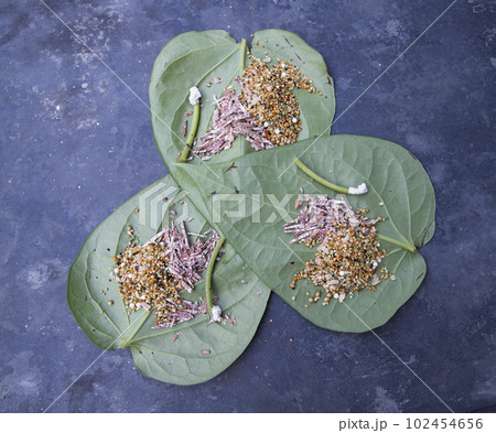 Decoration Green betel Leaf or pan on the concrete floor Decoration Green betel Leaf or pan on the concrete floor 102454656