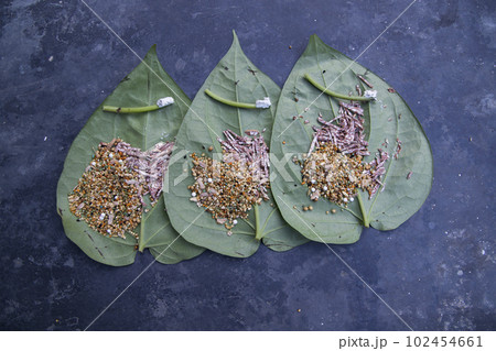 Decoration Green betel Leaf or pan on the concrete floor Decoration Green betel Leaf or pan on the concrete floor 102454661