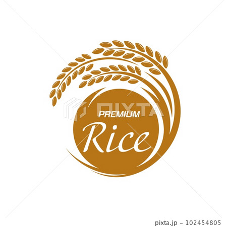 Rice icon, grain food plant and organic natural agriculture vector symbol. Rice product package label with rice ear or stalk, sign for farm market, grocery store and premium quality rice product 102454805