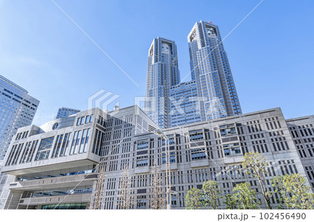 東京都新宿区　快晴の東京都庁と東京都議会議事堂 102456490