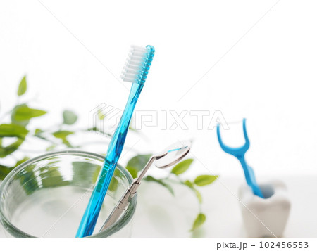 デンタルケア用ツール 102456553