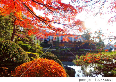 もみじ公園 紅葉 黄葉 山形市 もみじ公園 紅葉 黄葉 山形市 102456631