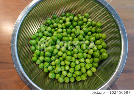 収穫したばかりのエンドウマメ 収穫したばかりのエンドウマメ 102456697