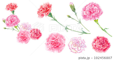 カーネーションの花束の水彩イラスト。アレンジメント。母の日の装飾。 カーネーションの花束の水彩イラスト。アレンジメント。母の日の装飾。 102456807