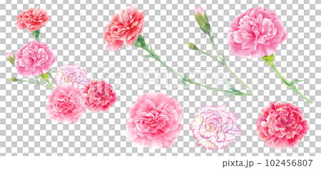 カーネーションの花束の水彩イラスト。アレンジメント。母の日の装飾。 カーネーションの花束の水彩イラスト。アレンジメント。母の日の装飾。 102456807