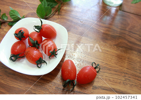 Fresh stevia tomatoes on a plate Date cherry tomatoes Fresh stevia tomatoes on a plate Date cherry tomatoes 102457341