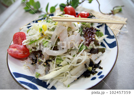 Healthy Korean food sashimi salad, sashimi rice bowl, healthy korean food concept 102457359