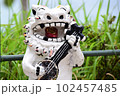 三線を弾くシーサー 102457485