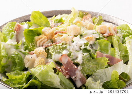 シーザーサラダ 102457702