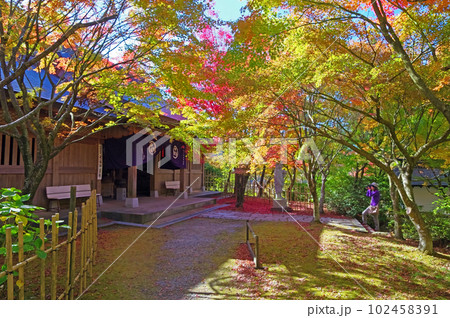 福岡県篠栗町の呑山観音寺紅葉の美しい七福神堂 102458391