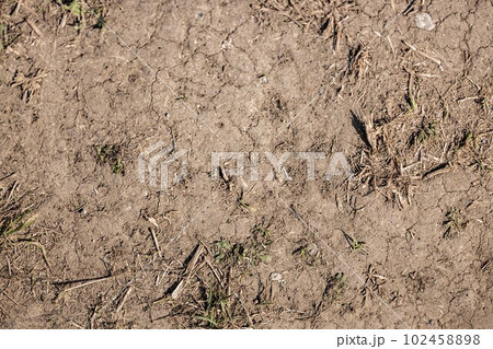 枯れてひび割れた大地の地面の土 102458898