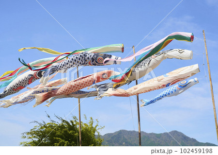 青空を泳ぐ鯉のぼり 青空を泳ぐ鯉のぼり 102459198