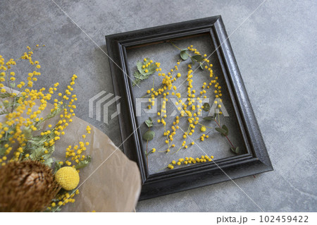 ミモザとフレームのインテリア 102459422