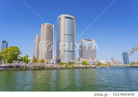 大阪 毛馬桜之宮公園の桜とOAPタワーと大川 大阪 毛馬桜之宮公園の桜とOAPタワーと大川 102460949