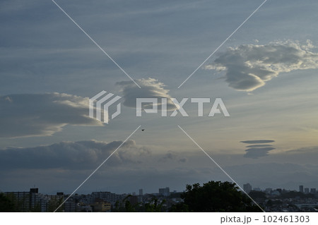 夕焼けに舞う珍しい層積雲 夕焼けに舞う珍しい層積雲 102461303
