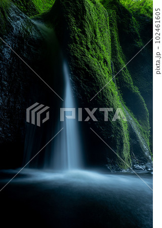 シワガラの滝 兵庫県 シワガラの滝 兵庫県 102461605