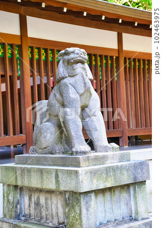 乃木神社 拝殿前の狛犬(東京都港区赤坂) 乃木神社 拝殿前の狛犬(東京都港区赤坂) 102463975